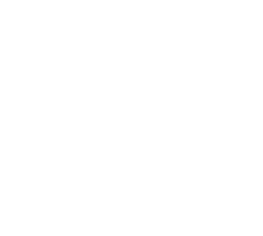 Goofly Travel